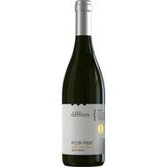 Ryzlink rýnský 2018 kabinetní víno - Davinus